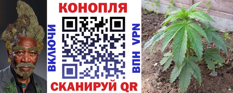 Конопля марихуана  hydra   Венёв  наркотики 